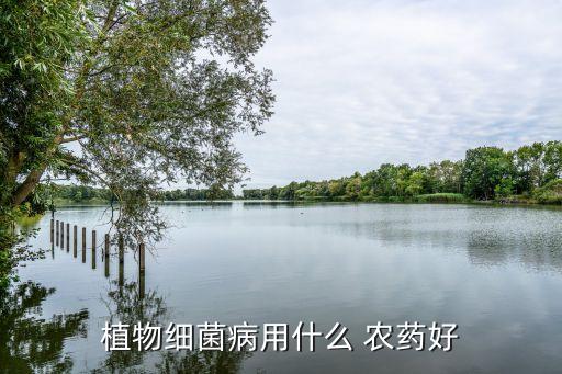 植物細菌病用什么 農藥好