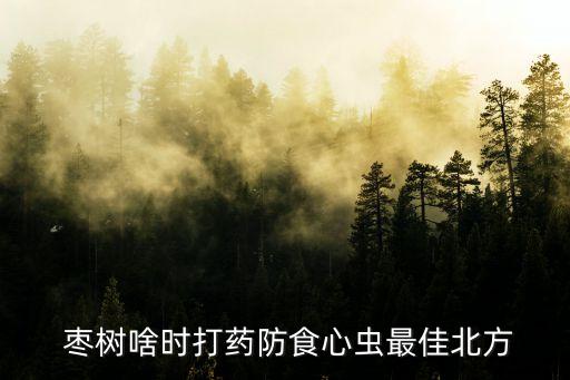  棗樹啥時打藥防食心蟲最佳北方