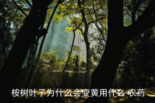 ,用什么農藥可以殺死桉樹頭