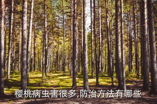 櫻桃病蟲害很多,防治方法有哪些