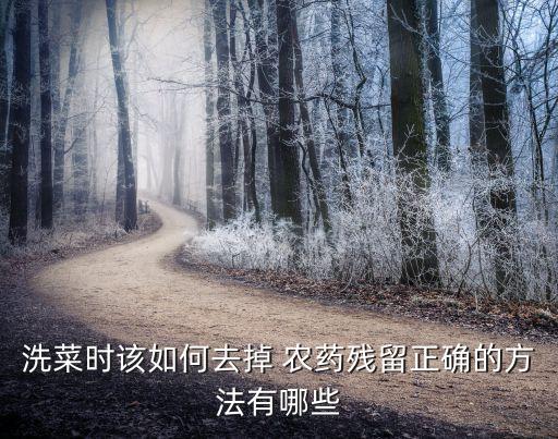 洗菜時(shí)該如何去掉 農(nóng)藥殘留正確的方法有哪些