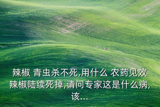什么農藥殺菜青蟲好用,不用農藥殺菜青蟲的方法