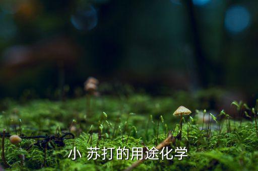 小 蘇打的用途化學(xué)