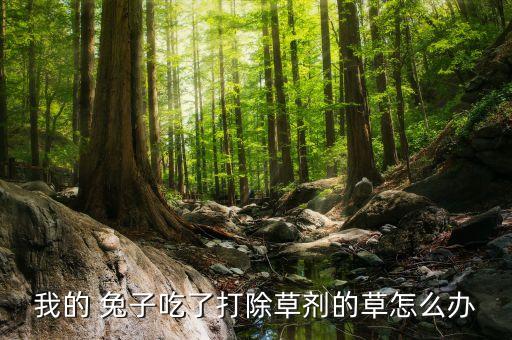 什么農藥能藥死兔子,喝了農藥沒死什么后果