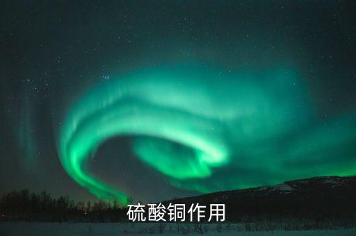 硫酸銅作用