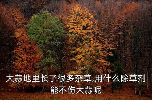 種蒜后用什么農(nóng)藥好,種玉米打什么農(nóng)藥