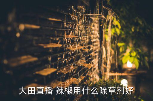 辣椒摘完噴什么農(nóng)藥,辣椒水噴臉上能出現(xiàn)什么情況