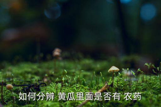 黃瓜打了農藥是什么味道,黃瓜的味道是什么樣的