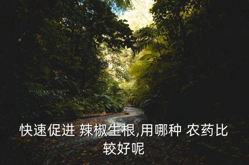 快速促進 辣椒生根,用哪種 農(nóng)藥比較好呢