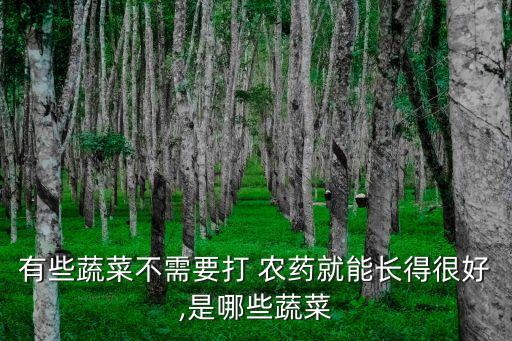 家里有什么菜不用買農(nóng)藥,家里不用的布可以做成什么