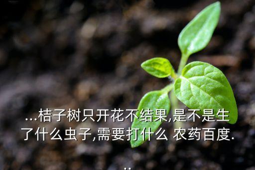 橘子樹灑什么農藥