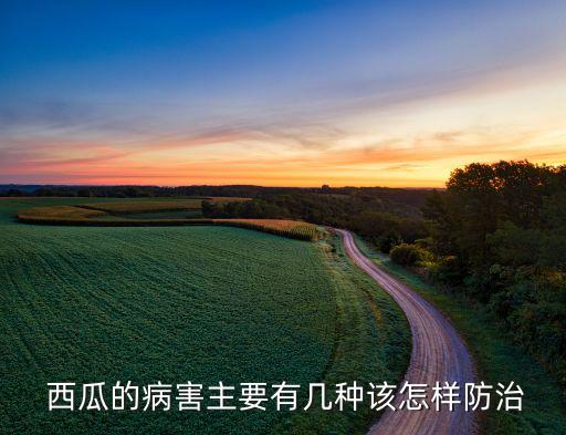 什么農藥能增強西瓜抗病,西瓜蟲用什么農藥比較好