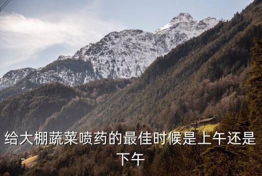 青菜打農藥什么時候好,青菜什么時候打農藥最好
