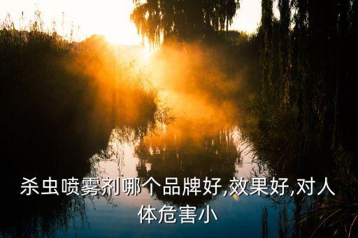 殺蟲噴霧劑哪個品牌好,效果好,對人體危害小