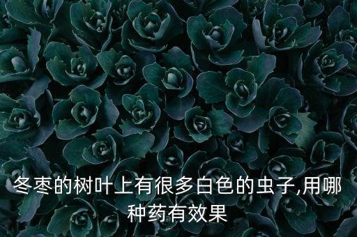 棗子生蟲(chóng)用什么農(nóng)藥,棗子蟲(chóng)長(zhǎng)什么樣子