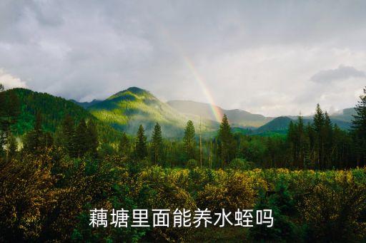藕塘里面能養水蛭嗎