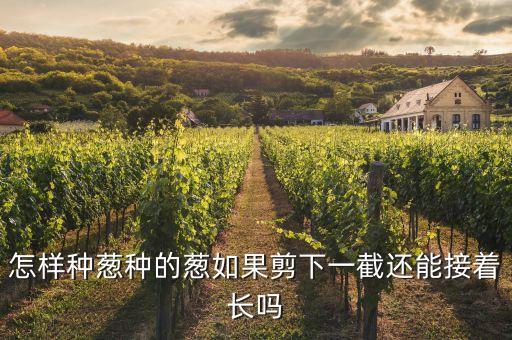怎樣種蔥種的蔥如果剪下一截還能接著長嗎