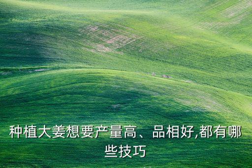 種植大姜想要產(chǎn)量高、品相好,都有哪些技巧