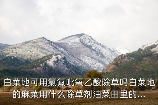 白菜地可用氯氟吡氧乙酸除草嗎白菜地的麻菜用什么除草劑油菜田里的...