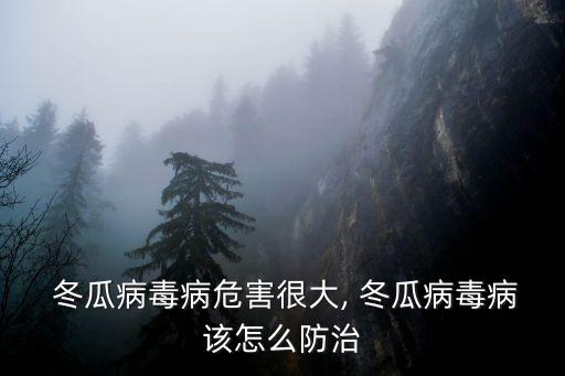  冬瓜病毒病危害很大, 冬瓜病毒病該怎么防治