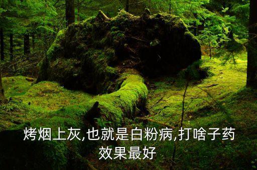 烤煙主要用什么農藥,烤煙不黃打什么農藥