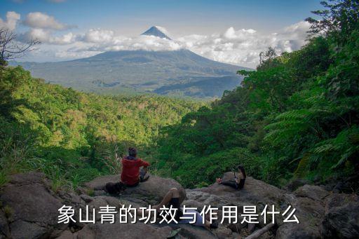 紅美人范病該打什么農(nóng)藥
