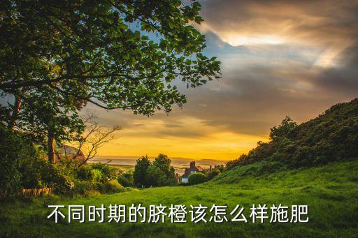 不同時期的臍橙該怎么樣施肥