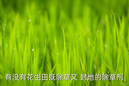 有沒(méi)有花生田既除草又 封地的除草劑