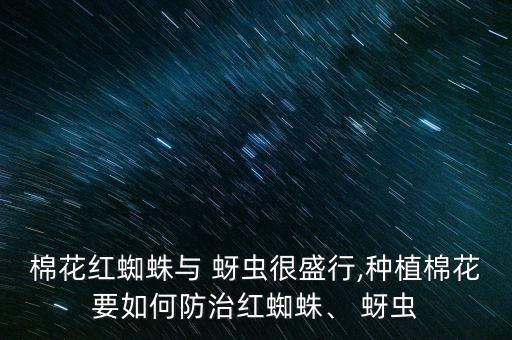 棉花紅蜘蛛與 蚜蟲很盛行,種植棉花要如何防治紅蜘蛛、 蚜蟲
