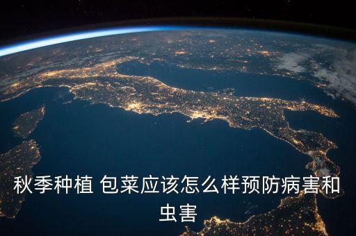 秋季種植 包菜應(yīng)該怎么樣預(yù)防病害和蟲害