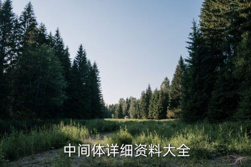  中間體詳細資料大全