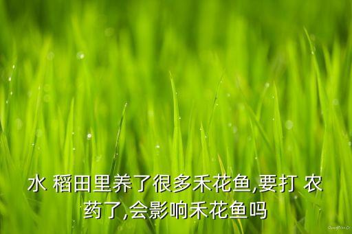 水 稻田里養了很多禾花魚,要打 農藥了,會影響禾花魚嗎