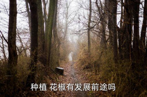 種植 花椒有發(fā)展前途嗎