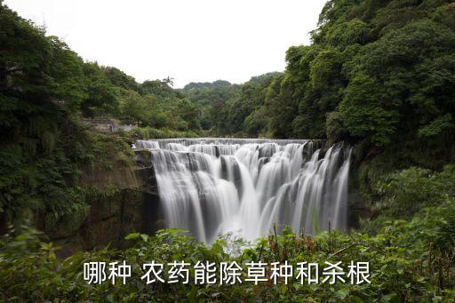 什么農藥最燒植物根,植物枯萎病用什么農藥?