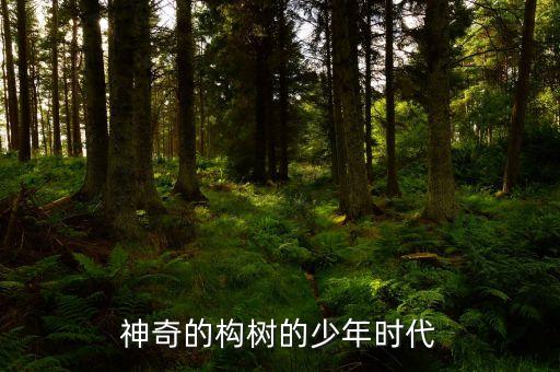 神奇的構(gòu)樹(shù)的少年時(shí)代