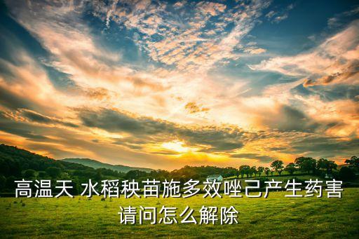 水稻黑頭黃葉用什么農(nóng)藥,水稻黃葉是什么病用什么農(nóng)藥