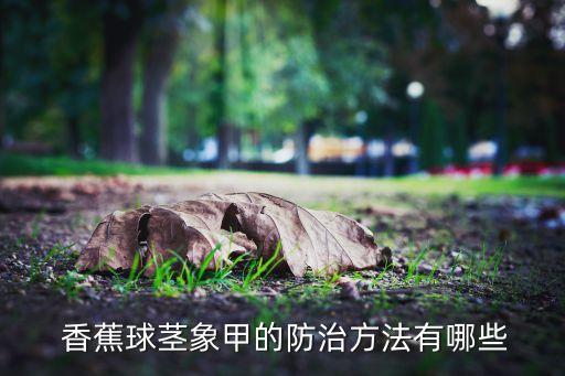  香蕉球莖象甲的防治方法有哪些