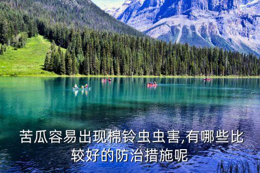  苦瓜容易出現棉鈴蟲蟲害,有哪些比較好的防治措施呢