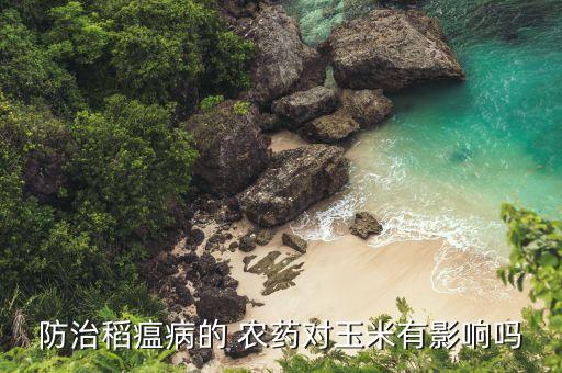 稻溫病用什么農藥