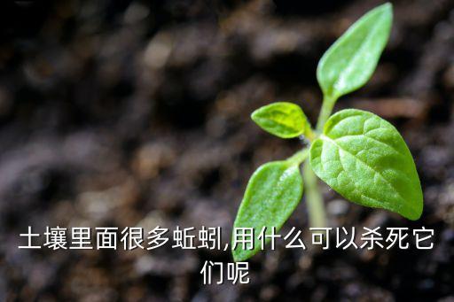 土壤里面很多蚯蚓,用什么可以殺死它們呢