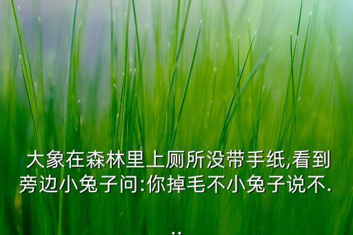  大象在森林里上廁所沒帶手紙,看到旁邊小兔子問:你掉毛不小兔子說不...