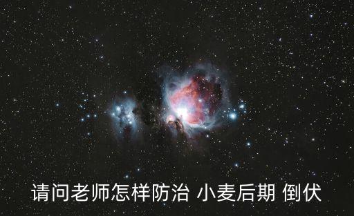 請問老師怎樣防治 小麥后期 倒伏