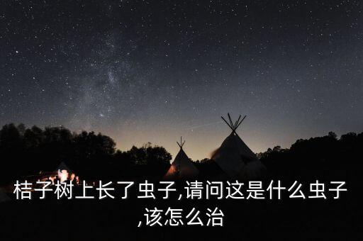 桔子樹上長了蟲子,請問這是什么蟲子,該怎么治