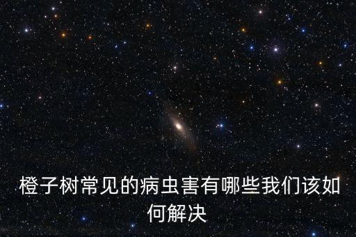  橙子樹常見的病蟲害有哪些我們該如何解決