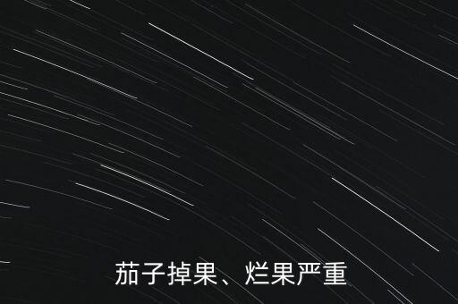  茄子掉果、爛果嚴重