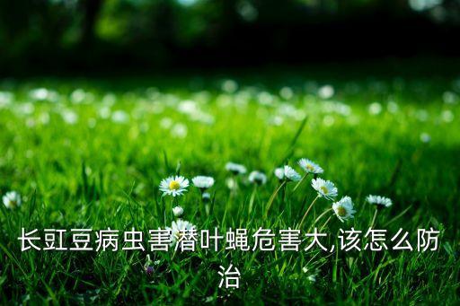 潛葉蟲用什么農(nóng)藥殺死,小猿葉蟲用什么農(nóng)藥殺