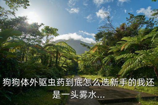 狗狗體外驅蟲藥到底怎么選新手的我還是一頭霧水...