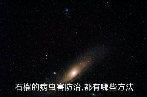 石榴打什么農(nóng)藥不裂,石榴和什么打汁最好