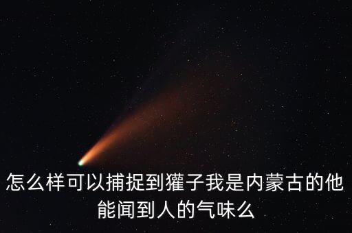 狗獾怕什么農(nóng)藥,狗獾最怕什么怎么驅(qū)趕最有效