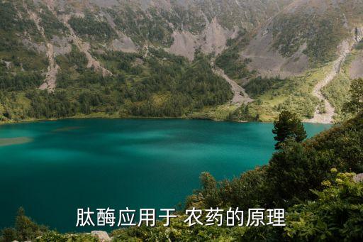 肽酶應用于 農藥的原理